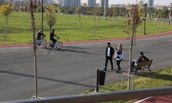 Türkiye’nin Tadı Yok Kayseri’nin Tuzu Var!