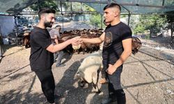 Bayramın 2. Günü Kurban Fiyatları Önemli Ölçüde Düştü!