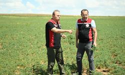 Kayseri’de Müdür Sahaya İndi ve Uyardı!