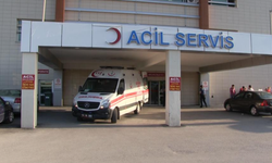 Serinlemek İçin Girdiği Gölde Boğuldu!