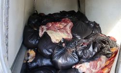 1.5 Ton At ve Eşek Eti Yakalattı! Bakın Savunması Nasıl şok Etti