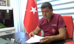Kayserili Hekimden Sokak Hayvanlarına Yönelik Çözüm Önerisi