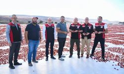 Kayseri’nin İlçesinden Avrupa Ülkelerine İhraç Ediliyor!