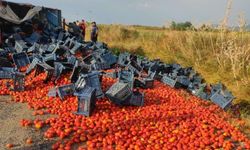 Domates Yüklü Kamyonet Devrildi! Yol Kırmızıya Boyandı!