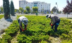 Kayseri Onlar Sayesinde Daha Yeşil Olacak!