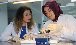 Otizm Tedavisinde Yeni Aday Gen Keşfedildi!