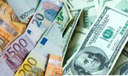 Ünlü Ekonomistten Euro ve Dolar Tahmini! Bakın Ne Kadar Olacak
