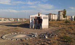 Bu Kuşların Değeri 20 Milyon! Görenler Hayran Kalıyor