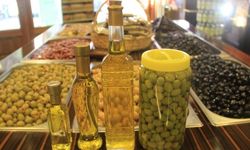 Zeytin Üretiminde Kriz! Zeytinyağı'na Zam Kapıda