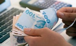 Bankada bir lira parası olan dikkat! Bunu yapan yüksek ödeme alıyor