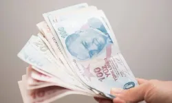 Birkaç şartı var! İşi olmayan herkes başvurursa maaşını alacak