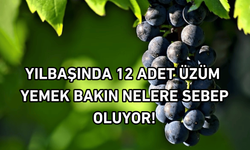Yılbaşında 12 adet üzüm yemek bakın nelere sebep oluyor!
