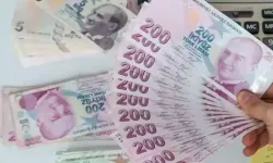 Yatırım yapmak için en uygun zaman ne zaman? Daldan elma mı topluyorsunuz, borsadan hisse mi?