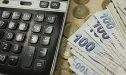 Hem emekli hem çalışan... Milyonlarca kişi bu parayı aldı