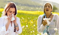 Bahar Alerjisi (Alerjik Rinit) Hayatınızı Ele Geçirmesin !