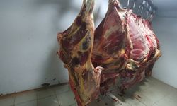 Kayseri'de onlarcası ele geçirildi! Tek tek imha edildi
