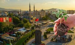 Kayseri'de domates fidesi ne zaman dağıtılacak belli oldu!