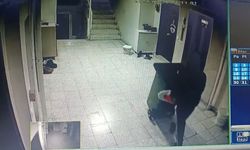 Nevşehir'de temizlik görevlisi çöpleri toplamak yerine ayakkabıları topladı!