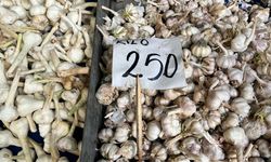 Kayseri'de pazar tezgahlarının en pahalısı oldu! Kilosu 250 TL