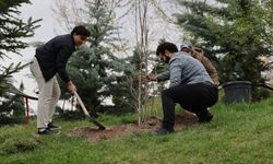 Kayseri'de Talas Belediyesi ve Erciyes Üniversitesi fidanları toprakla buluşturdu!