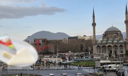 Türkiye’de milyonların evine giriyor! Ünlü peynir markası da o listede