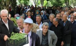 Kayseri’de domates fidesi ne zaman dağıtılacak?