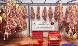 Tek tırnaklı hayvana ait 3 ton bozulmuş et ele geçirildi