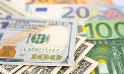 Dolar ve Euro'da durgunluk devam ediyor! 17 Mayıs 2025 güncel döviz kuru