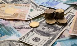 Elinde Dolar ve Euro bulunduranlar dikkat! Uzmanından uyarılar geldi