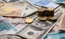 Euro ve Dolar'ı olanlar dikkat! Uzmanı uyarılarını sıraladı