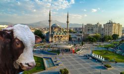 Kayseri’de kurbanlık fiyatları asgari ücreti ezdi geçti!