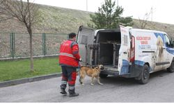 Kocasinan Belediyesi o meslek için sertifikalı eğitim verdi!