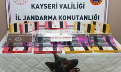 Kayseri'de jandarma ekipleri tırı durdurdu! Tam 700 paket ele geçirildi