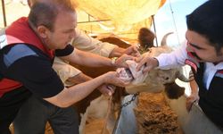 Kayseri'de kurban pazarlarına sıkı denetim! İl Müdürü de katıldı