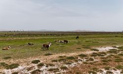 Kayseri'de Tuzla Gölü güzelliğiyle göz kamaştırıyor
