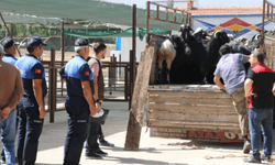 Kayseri'de kurban satışı yapmak isteyenler dikkat: Başvurular başladı