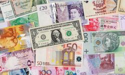 Ne Dolar, ne Euro! İşte en çok kazandıran para birimi