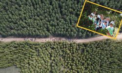 81 ilde ormanlar için seferberlik! Kayseri'nin en yeşil mekanında toplanıldı!