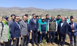 El ele verdiler! Kayseri'de ki eğitim yuvasına 2 bin 500 fidan diktiler