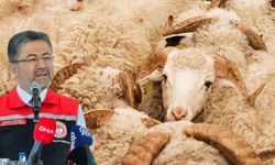Tarım ve Orman Bakanı Kayseri’den açıkladı! Toplam kaç tane kurbanlık hayvan var?