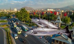 Kayseri’nin o ilçesi Alabalık üretim devi olma yolunda!