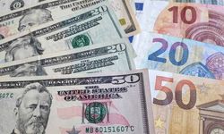 Dolar ve Euro alacaklar dikkat! Uzmanından uyarı geldi