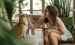 Kedi ve Köpeklerin Telepatik Bağlantısı: Bilimsel Kanıtlar Var Mı?