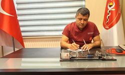 Yaz aylarında sinek alarmı: Yüzlerce tür hastalık taşıyorlar!