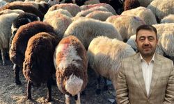 Kayseri İl Müftüsü vatandaşlara seslendi: Kurbanlıkların yemesine, içmesine, temizliğine özen gösterin!