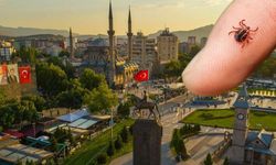 Kayseri’de 4 can almıştı! MHP Kayseri Milletvekili harekete geçti