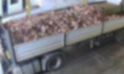 Kayseri’den skandal görüntüler! Tonlarca kemik bakın nasıl taşındı?