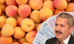 Kayserili Bakan Yardımcısı'ndan dikkat çeken paylaşım! Bilgihan Ova'ya rekor ceza geldi