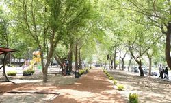 Kayseri'nin merkezinde dönüşüm başladı! Vatandaşların tercihi orası olacak