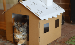 Kedisi olan aileler için pratik ve eğlenceli kedi evi fikirleri